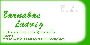 barnabas ludvig business card